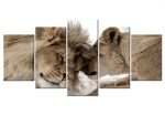 Pětidílný obraz – láska lvů Pětidílný obraz – láska lvů
