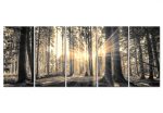 Pětidílný obraz – strážci lesa Pětidílný obraz – strážci lesa