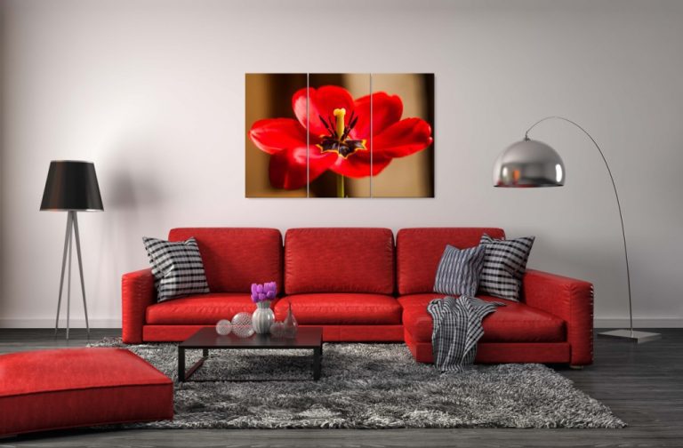 Vícedílný obraz – Červený tulipán Vícedílný obraz – Červený tulipán