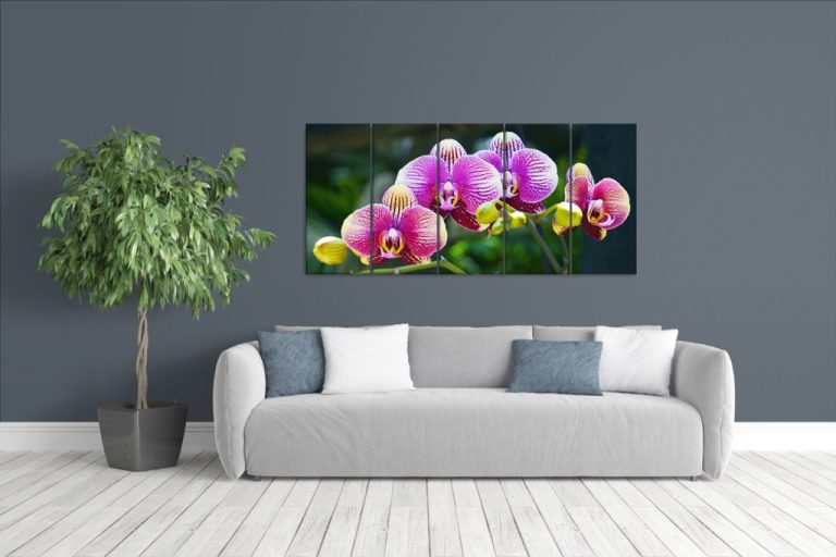 Vícedílný obraz – Divoká orchidej Vícedílný obraz – Divoká orchidej