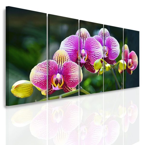 Vícedílný obraz – Fialová orchidej Vícedílný obraz – Fialová orchidej