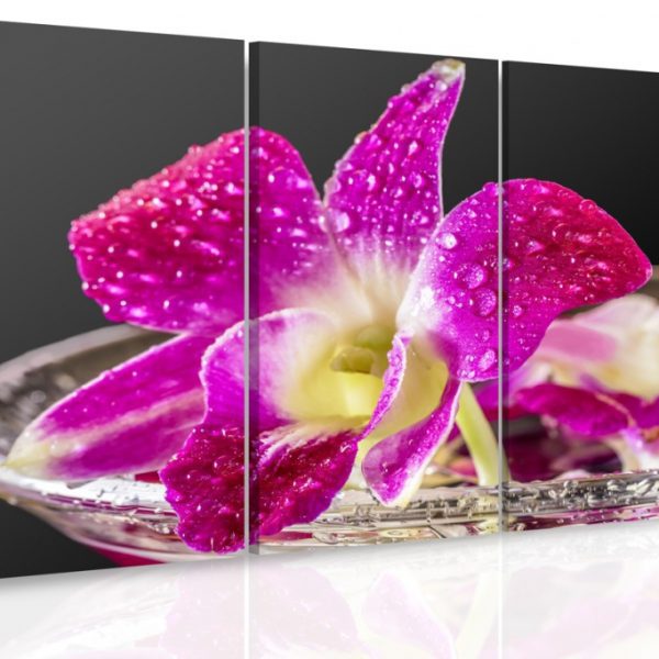 Vícedílný obraz – Fialová orchidej Vícedílný obraz – Fialová orchidej