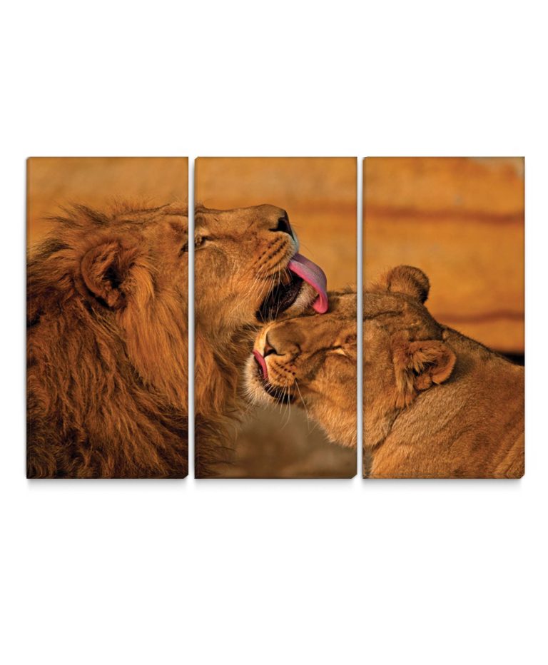 Vícedílný obraz – Lev a lvice Vícedílný obraz – Lev a lvice