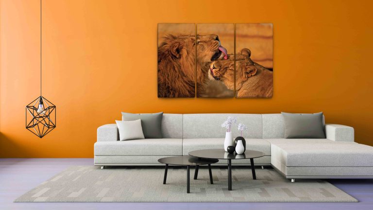 Vícedílný obraz – Lev a lvice Vícedílný obraz – Lev a lvice