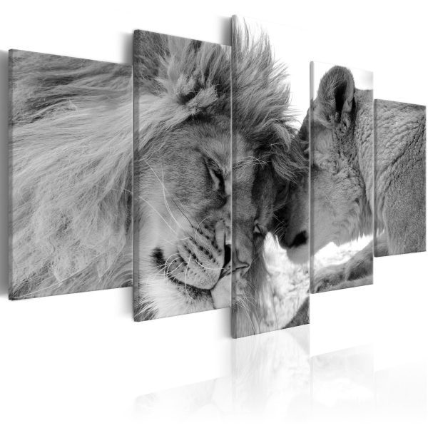 Vícedílný obraz – lví láska Vícedílný obraz – lví láska