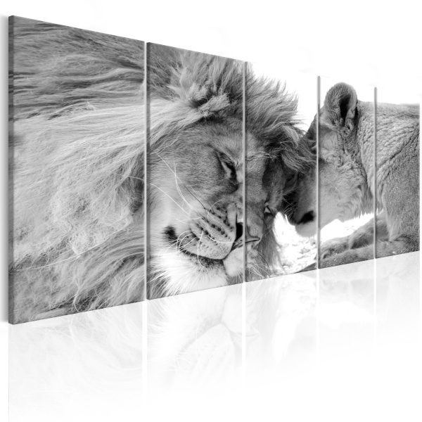 Vícedílný obraz – lvi Vícedílný obraz – lvi