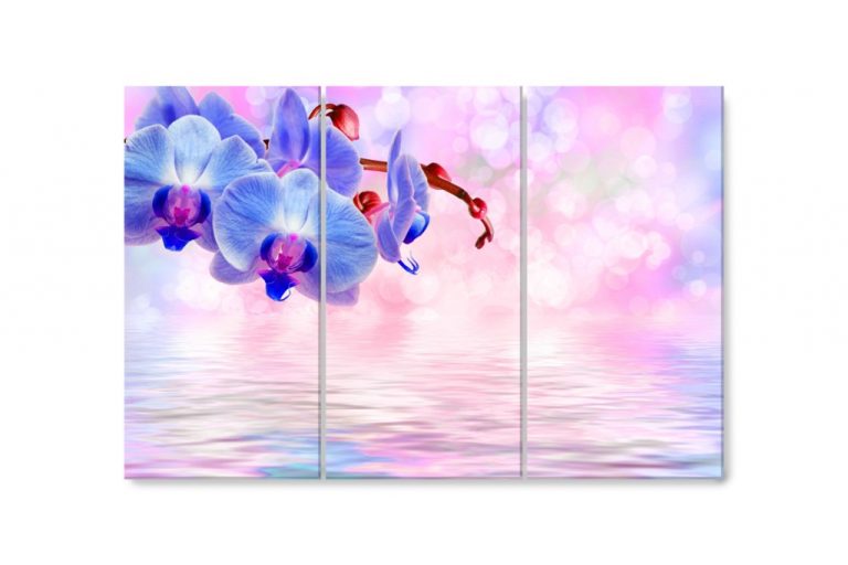 Vícedílný obraz – Modrá orchidej Vícedílný obraz – Modrá orchidej