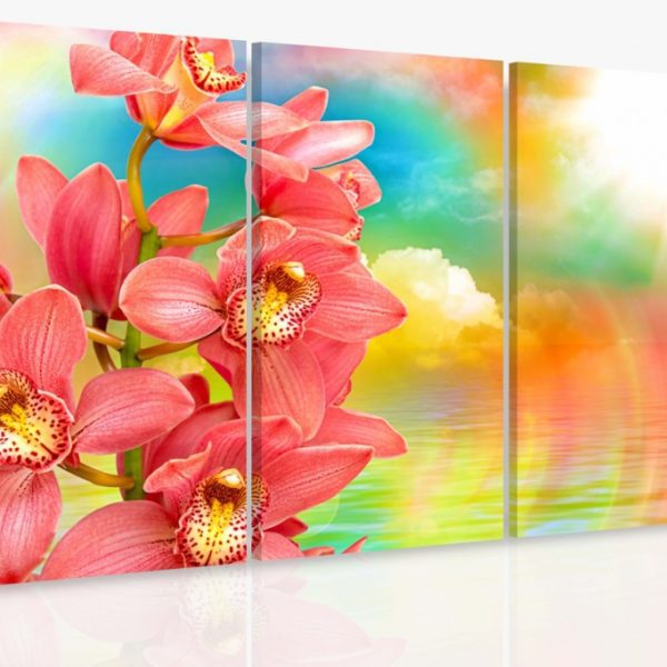 Vícedílný obraz – Orchidej a duha Vícedílný obraz – Orchidej a duha