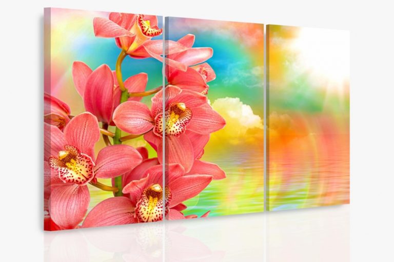 Vícedílný obraz – Orchidej a duha Vícedílný obraz – Orchidej a duha