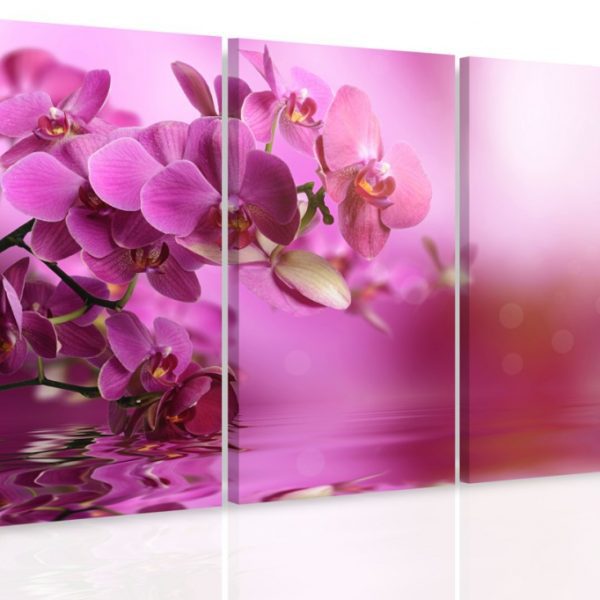 Vícedílný obraz – Orchidej na hladině Vícedílný obraz – Orchidej na hladině