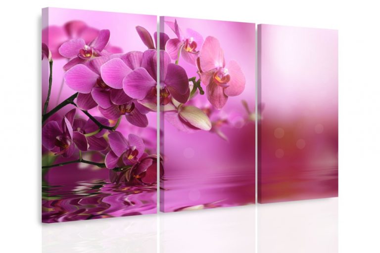 Vícedílný obraz – Orchidej na hladině Vícedílný obraz – Orchidej na hladině