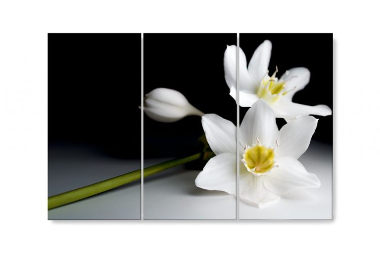 Vícedílný obraz – Orchidej ve tmě Vícedílný obraz – Orchidej ve tmě