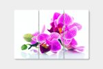 Vícedílný obraz – Orchidej v prostoru Vícedílný obraz – Orchidej v prostoru