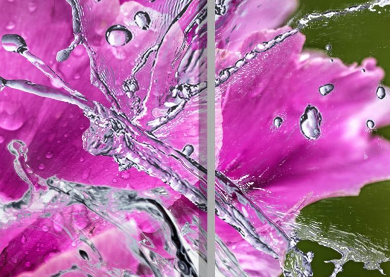 Vícedílný obraz – Pivoňka a vodní motýl Vícedílný obraz – Pivoňka a vodní motýl