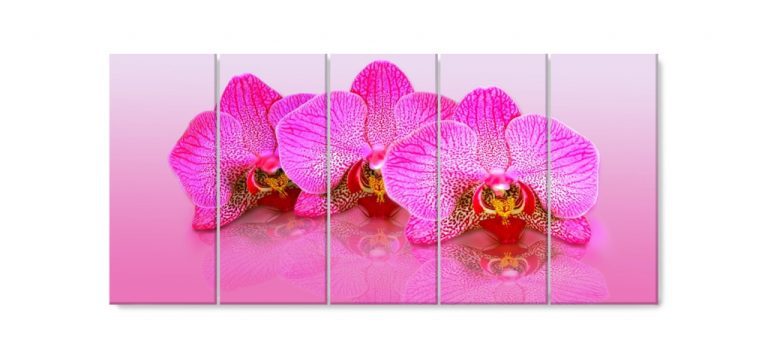 Vícedílný obraz – Růžové orchideje Vícedílný obraz – Růžové orchideje