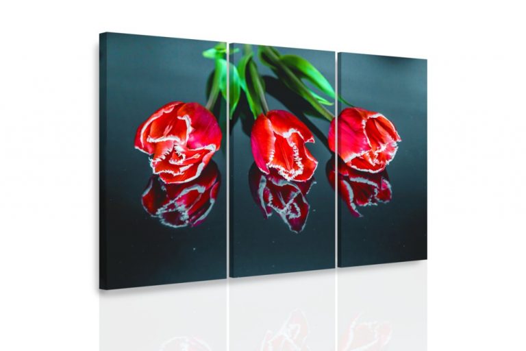 Vícedílný obraz – Tři tulipány Vícedílný obraz – Tři tulipány