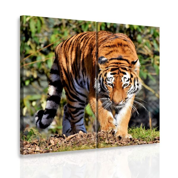 Vícedílný obraz – Tygr za stromem Vícedílný obraz – Tygr za stromem