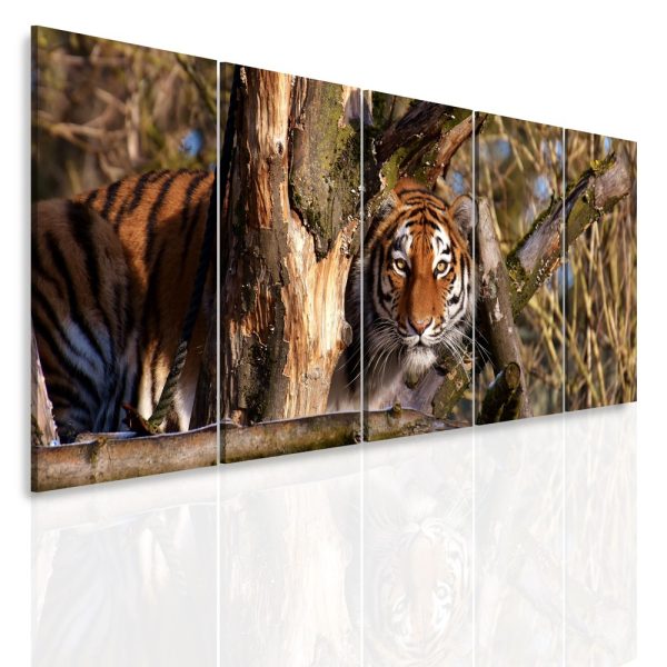 Vícedílný obraz – Tygr za stromem Vícedílný obraz – Tygr za stromem