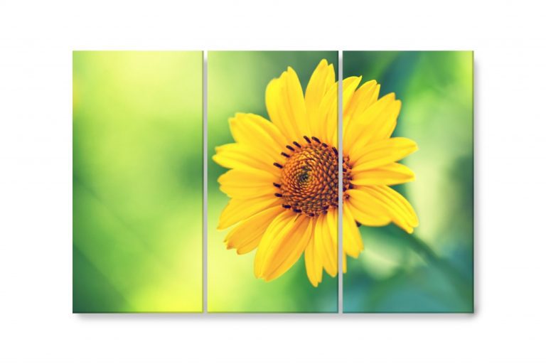 Vícedílný obraz – Žlutý květ Vícedílný obraz – Žlutý květ