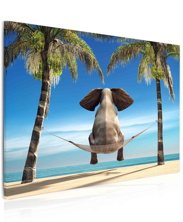 Vtipný slon na pláži Vtipný slon na pláži