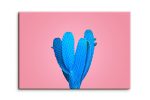 Obraz modrý kaktus s růžovým pozadí Obraz modrý kaktus s růžovým pozadí