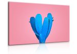 Obraz modrý kaktus s růžovým pozadí Obraz modrý kaktus s růžovým pozadí