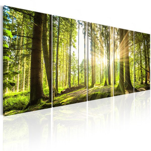 Vícedílný obraz – Barevný les Vícedílný obraz – Barevný les