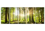 Vícedílný obraz – čarovný les Vícedílný obraz – čarovný les