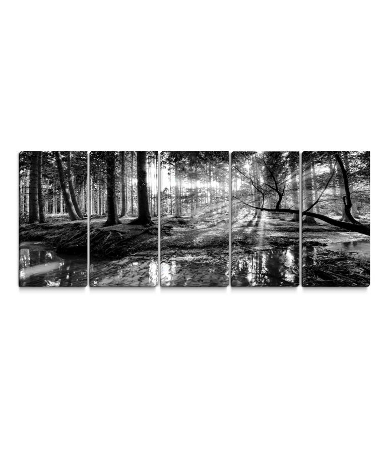 Obraz černobílá pohoda lesa Obraz černobílá pohoda lesa