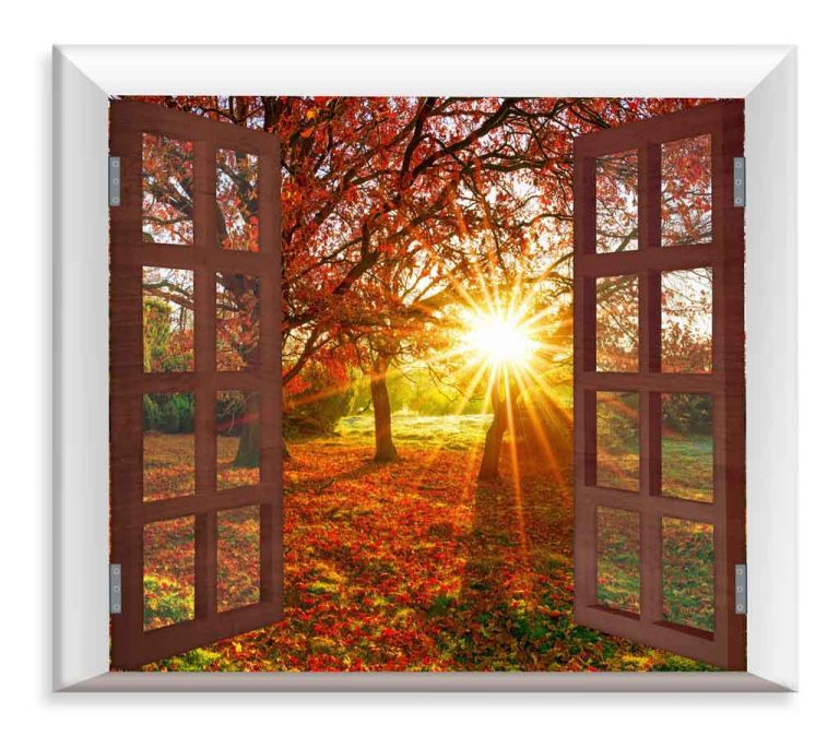 *Obraz podzimní slunce za oknem *Obraz podzimní slunce za oknem