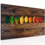 Obraz barevné listy na dřevě Obraz barevné listy na dřevě
