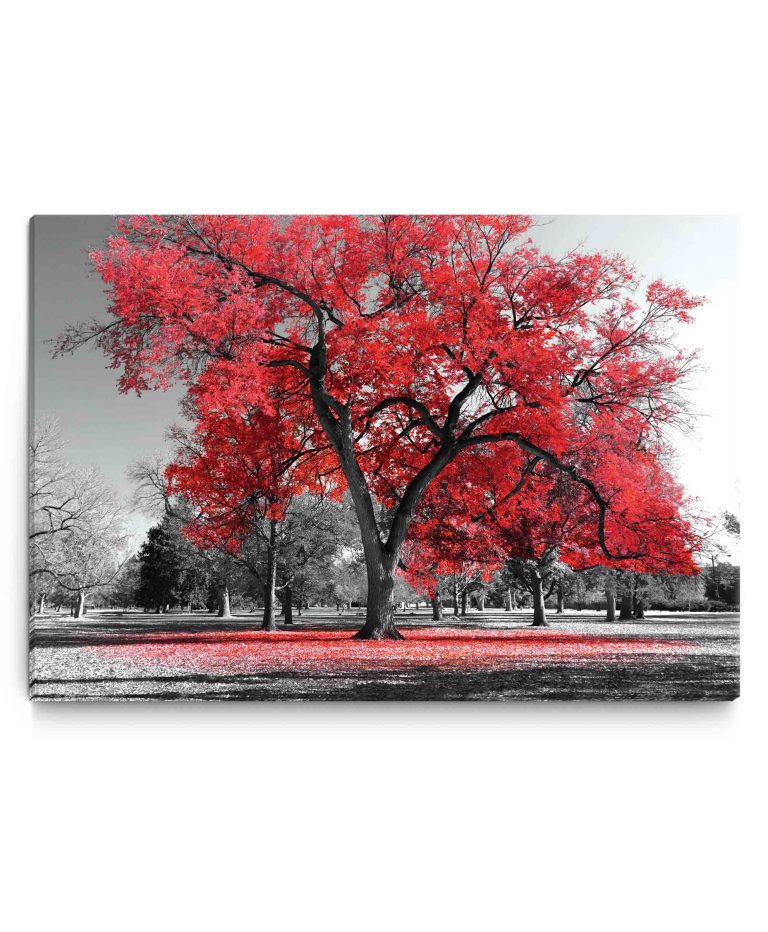 Obraz podzim v parku – červený Obraz podzim v parku – červený