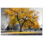 Obraz podzim v parku – žlutý Obraz podzim v parku – žlutý