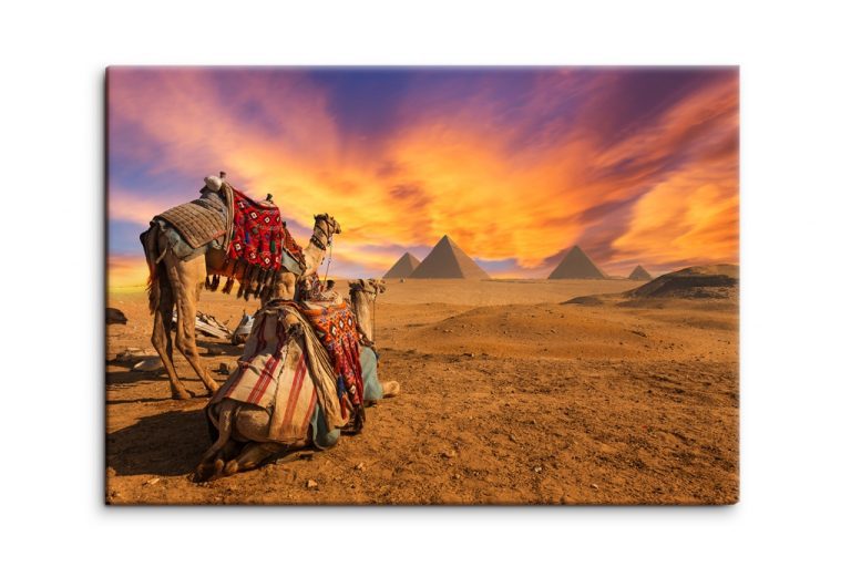 Obraz Egyptská sahara Obraz Egyptská sahara