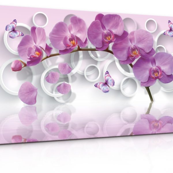 Obraz Růžová motýlí orchidej Obraz Růžová motýlí orchidej