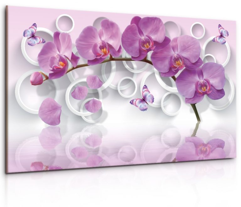Obraz Růžová motýlí orchidej Obraz Růžová motýlí orchidej