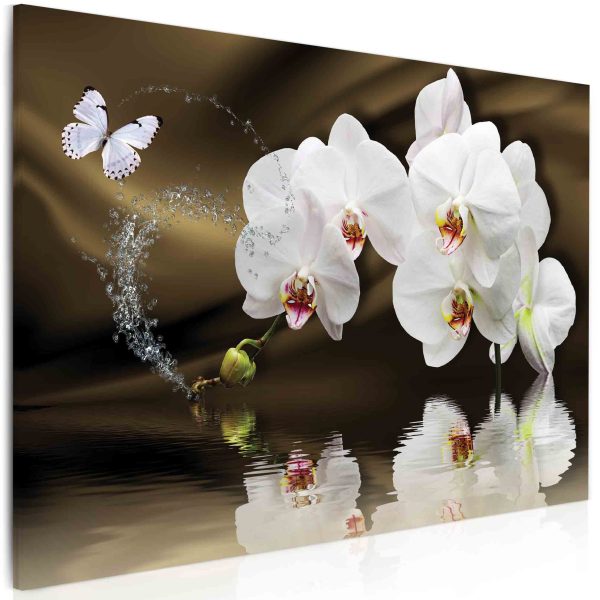Obraz Motýlí orchidej nad hladinou Obraz Motýlí orchidej nad hladinou