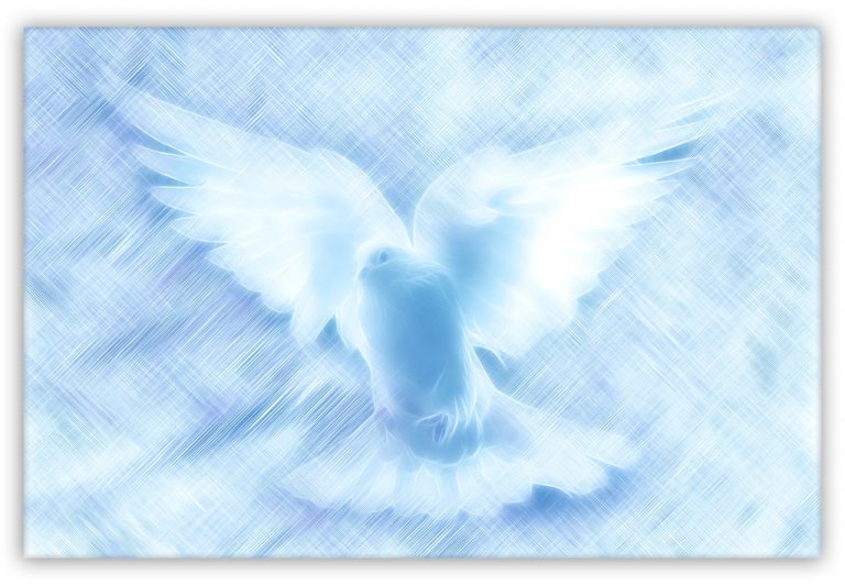 Obraz Nebeská holubice Obraz Nebeská holubice