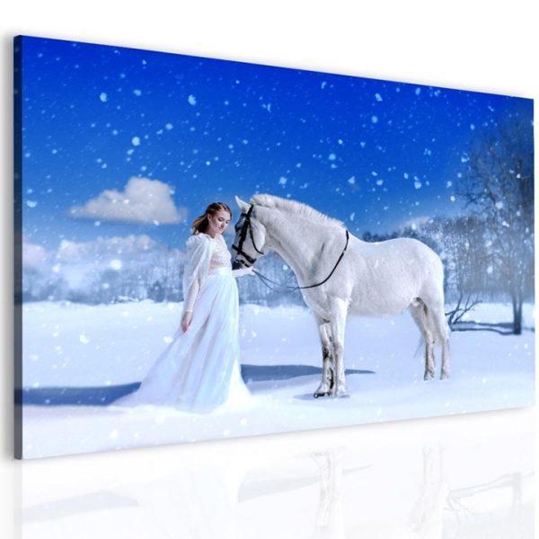 Obraz Kůň a dívka Obraz Kůň a dívka