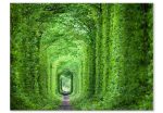 Obraz Zelený tunel Obraz Zelený tunel