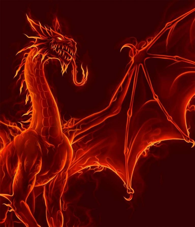 Obraz ohnivý drak Obraz ohnivý drak