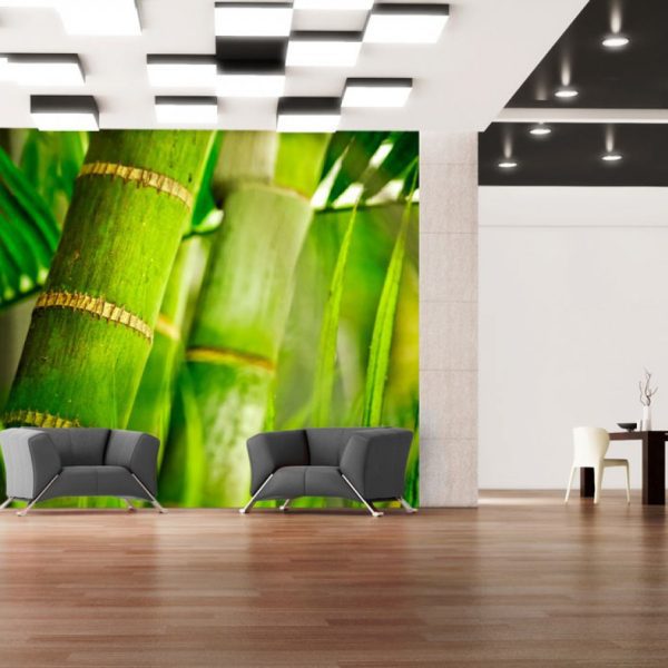 Bambus – tapeta na stěnu SKLAD Bambus – tapeta na stěnu SKLAD