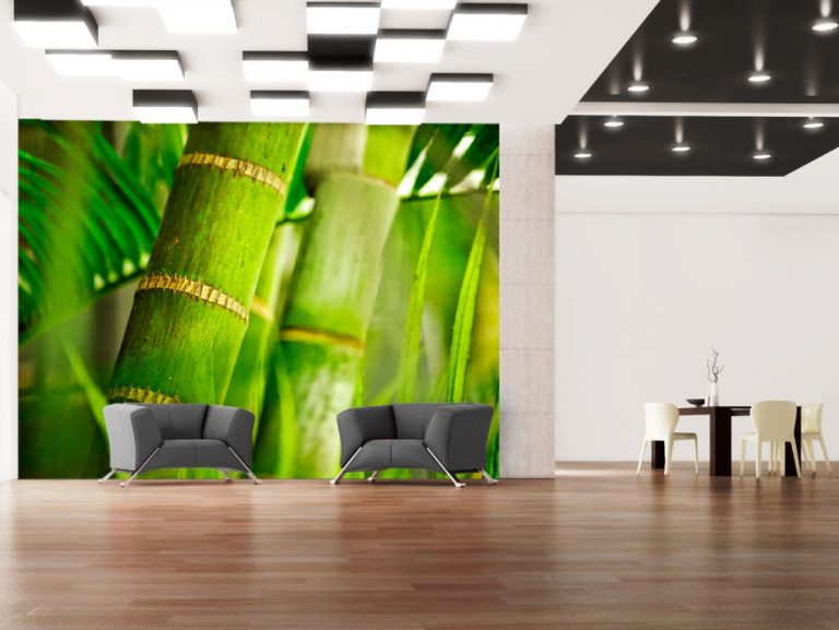 Bambus – tapeta na stěnu SKLAD Bambus – tapeta na stěnu SKLAD