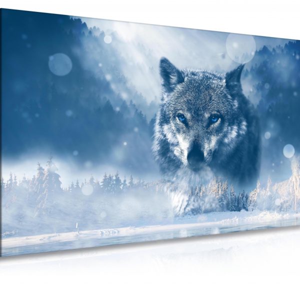Obraz vlk v zimě Obraz vlk v zimě