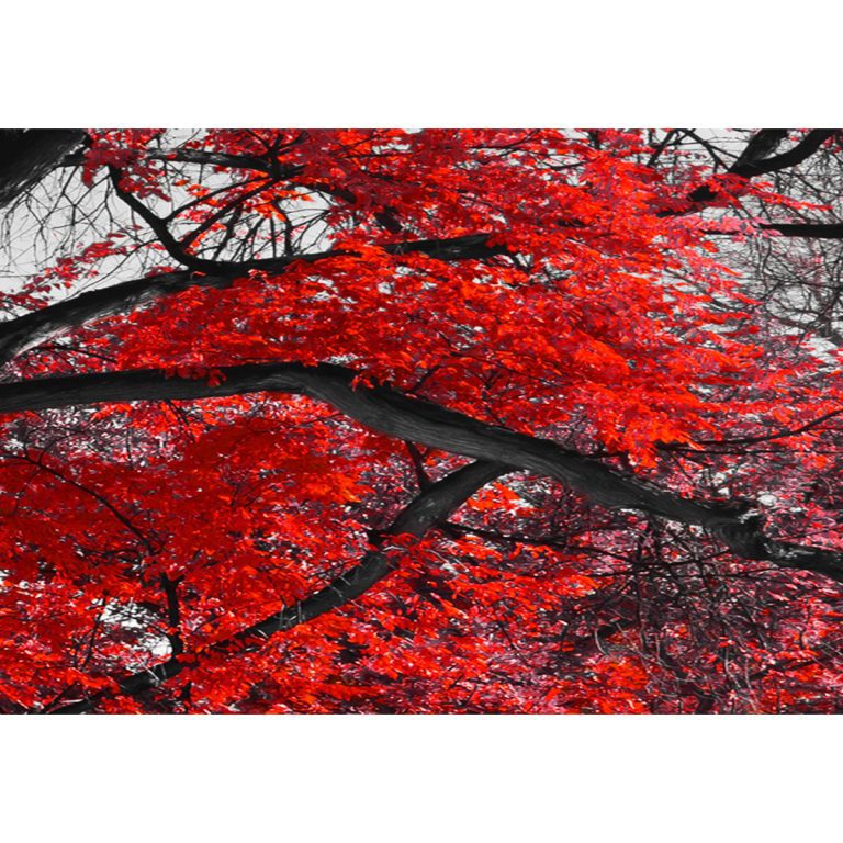 Pětidílný obraz podzim v parku červený II Pětidílný obraz podzim v parku červený II