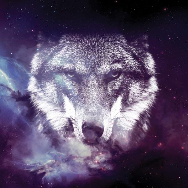 Tapeta vesmírný vlk Tapeta vesmírný vlk