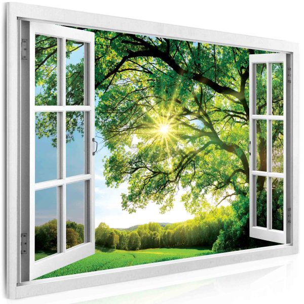 Obraz – okno obrovský strom Obraz – okno obrovský strom