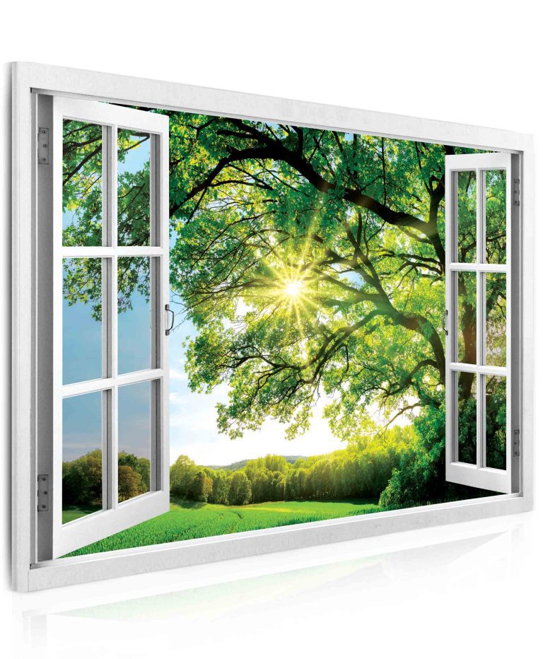 Obraz – okno obrovský strom Obraz – okno obrovský strom
