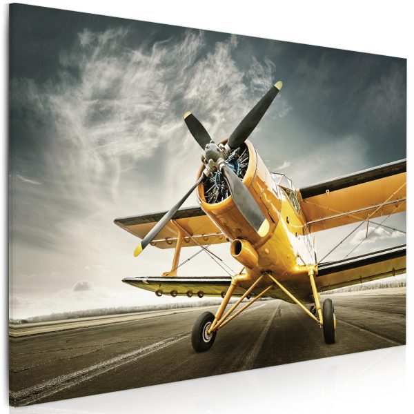Obraz Žluté letadlo Obraz Žluté letadlo