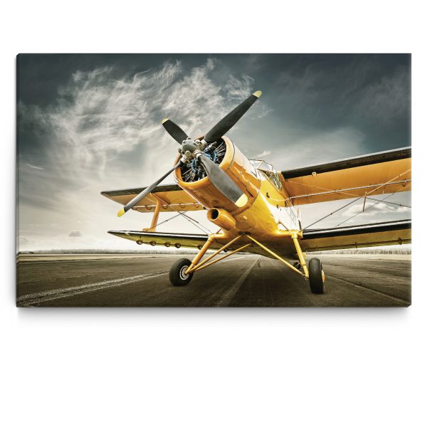 Obraz Žluté letadlo Obraz Žluté letadlo